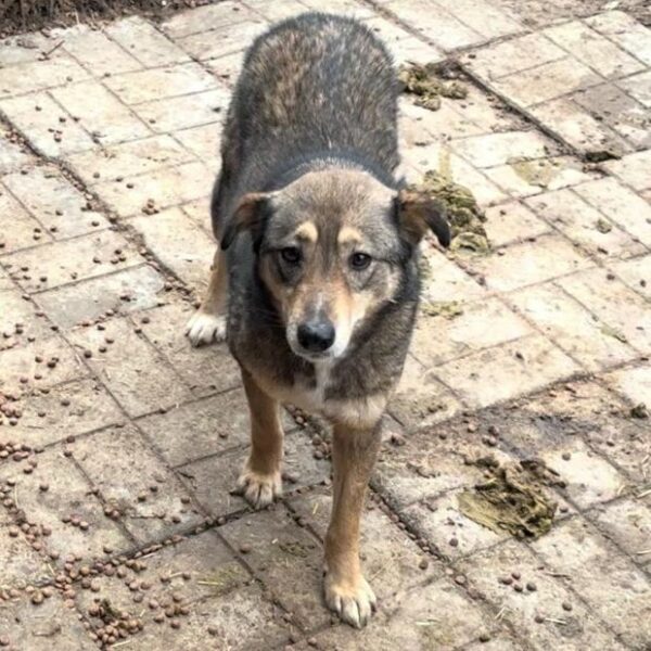 THERESA (♀) – Bild 8