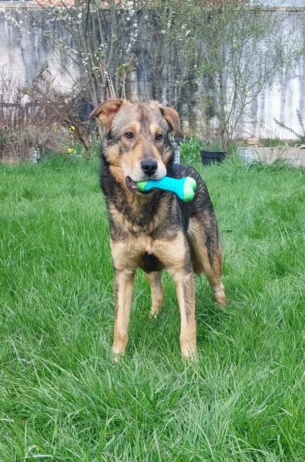 Jampy in 54290 Trier – Bild 9