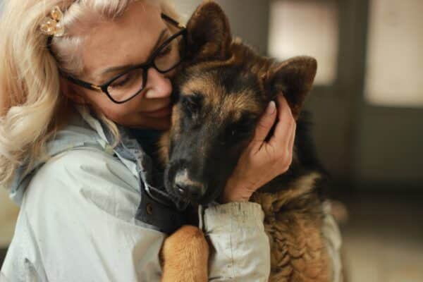 AMBRA  - med. Notfall - reserviert Kinder- und Tierschutzhof Hahnenberg e.V. - vermittelt – Bild 4
