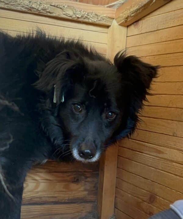 VINCENZIA (♀) – Bild 9