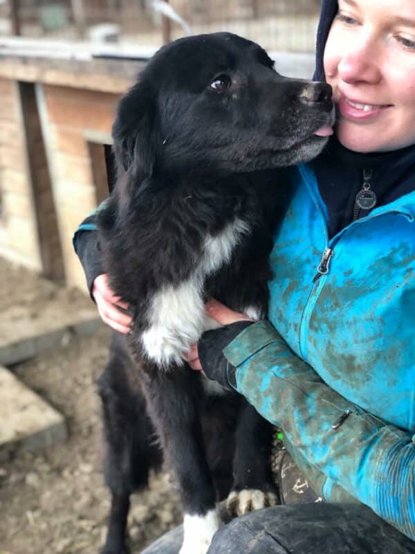 SHEENA  - RBB 05/23 – Bild 2