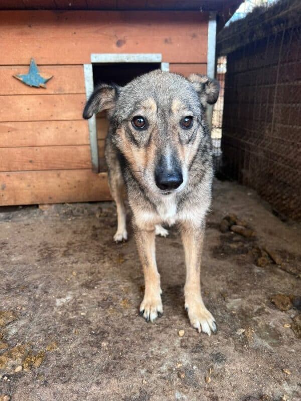 THERESA (♀) – Bild 6