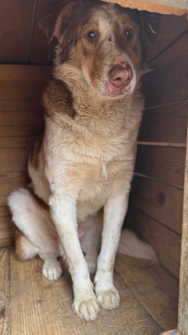 IRMA (♀) – Bild 2