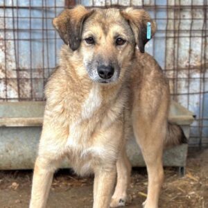TWENTY (♀)