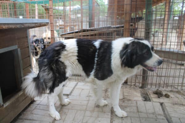 VANYA (= BERTHA) – Bild 3