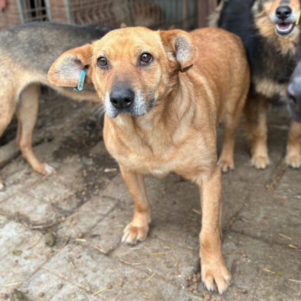 BERTA (♀) – Bild 2