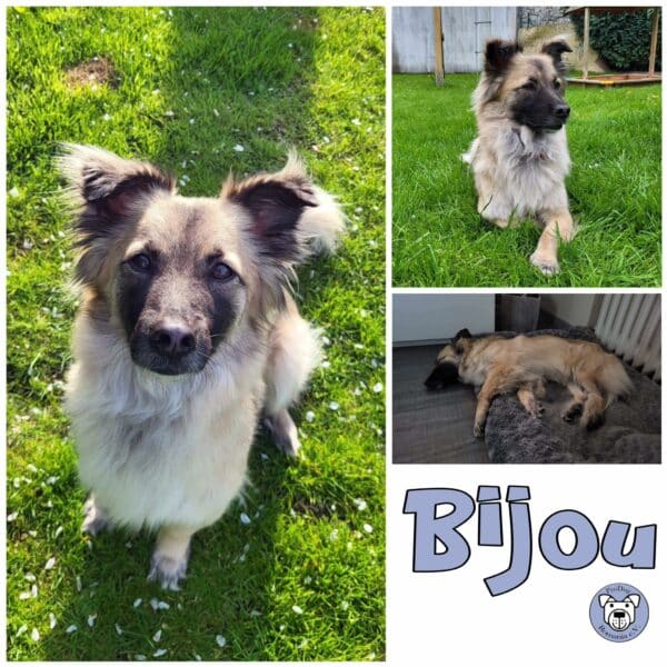 Bijou in 32051 Herford *vermittelt*
