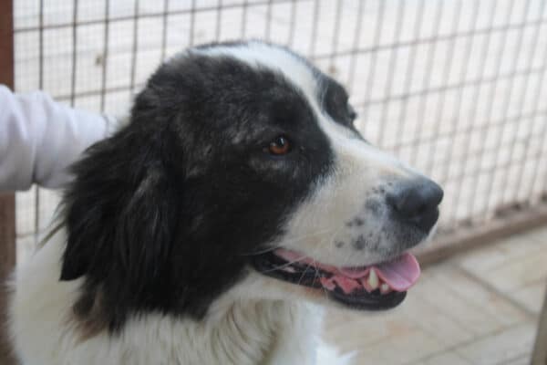 VANYA (= BERTHA) – Bild 5