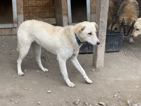 BAJA (♀) – Bild 12