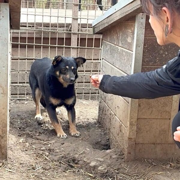 BONITA (♀) – Bild 2