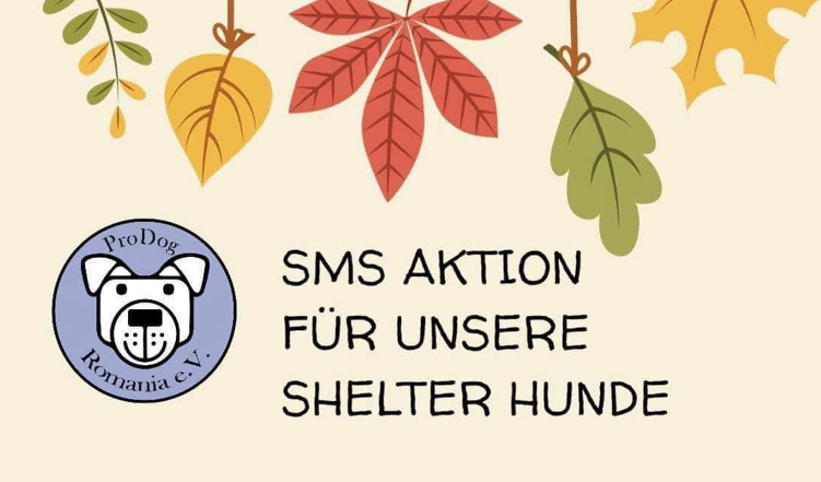 🍁 SMS Aktion zum Herbstanfang 🍁