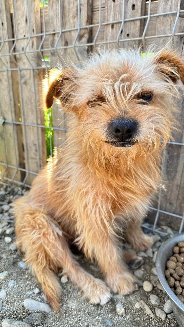 DERRICK - vermittelt Betty – Bild 2