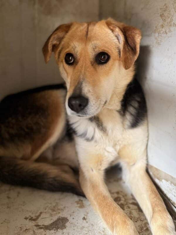 KILIA (♀) – Bild 2