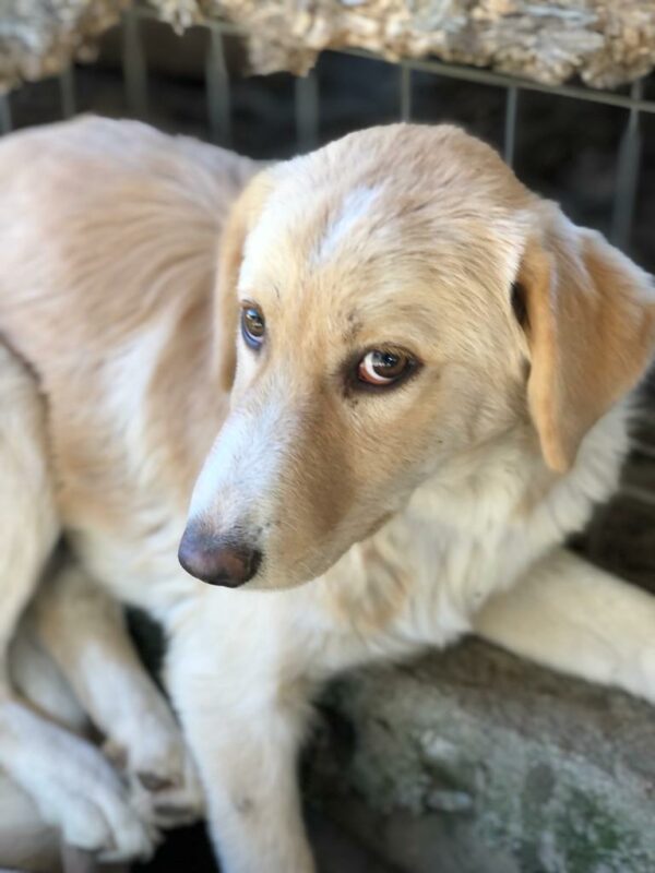 SKYLA (♀) – Bild 8