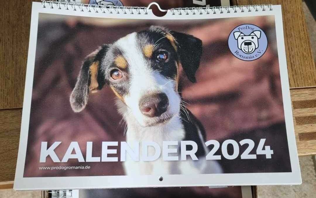 Es ist endlich soweit: Der PDR-Kalender 2024 ist da! 🗓️🎁💚