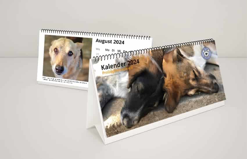 Jetzt NEU: Der PDR-Tischkalender für 2024 🐶💚