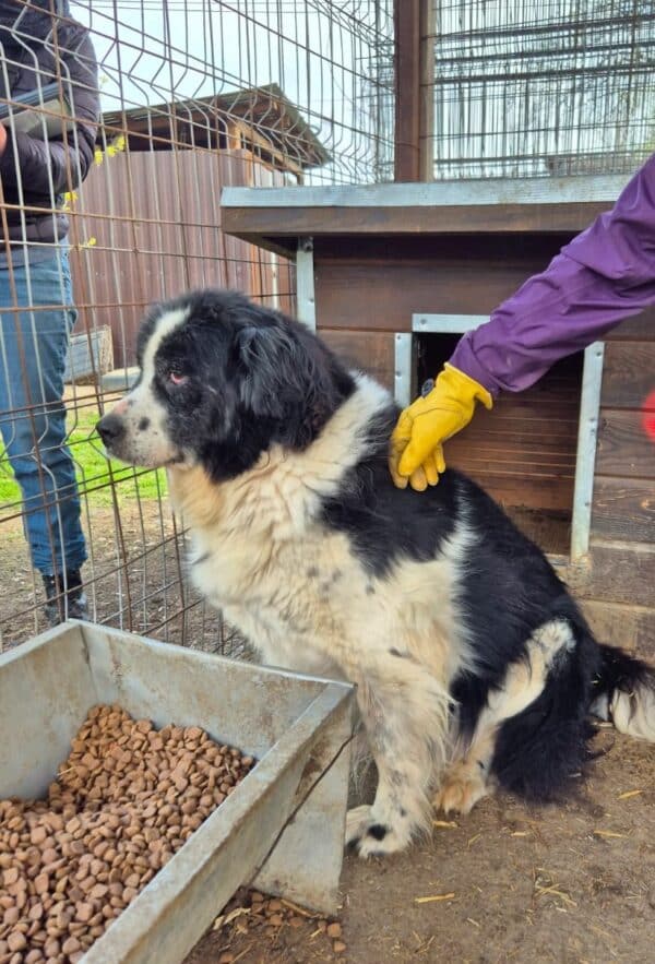 GAUCHO - Augenprobleme reserviert (11/07 MH) – Bild 2