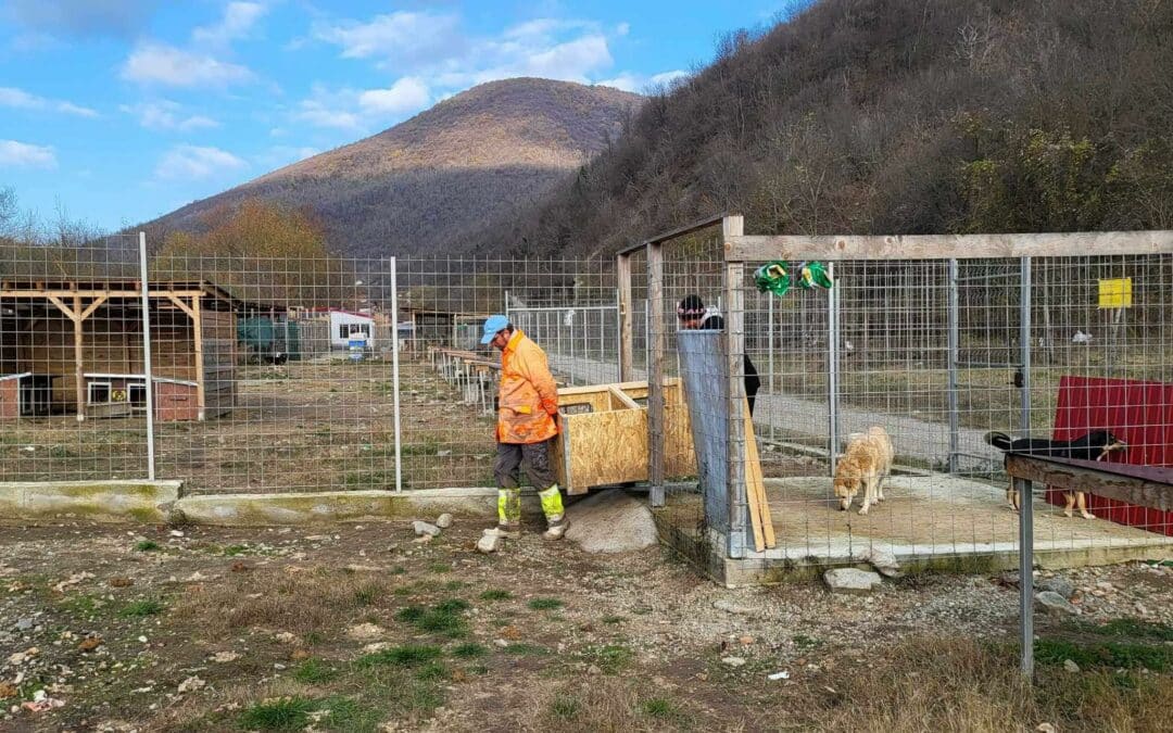 Weitere Hütten im Open Shelter bezugsfertig 🛖✨