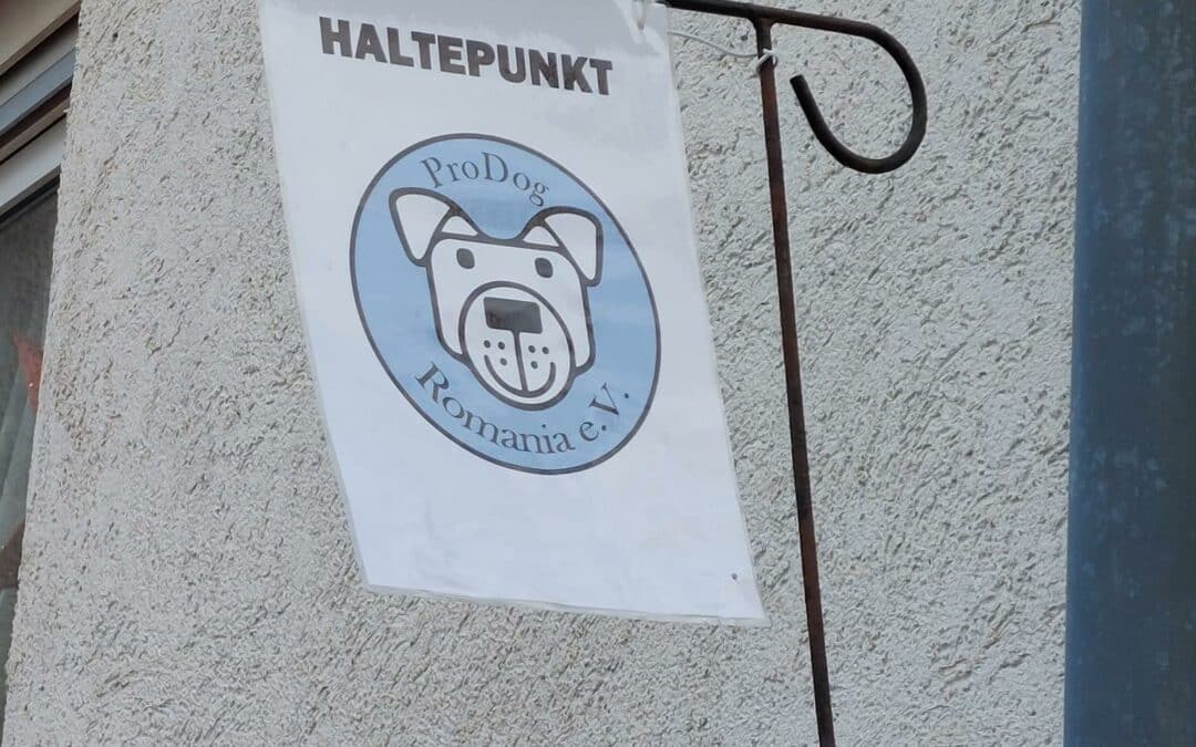 Haltepunkte – Start in ein neues Leben ✨🐾