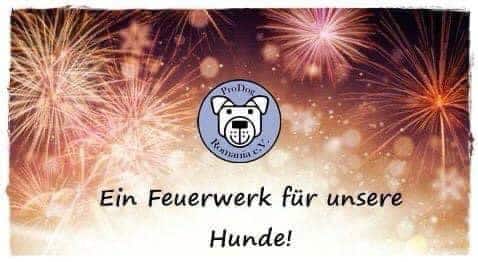 Ein Feuerwerk für unsere Hunde! 🌟🎉