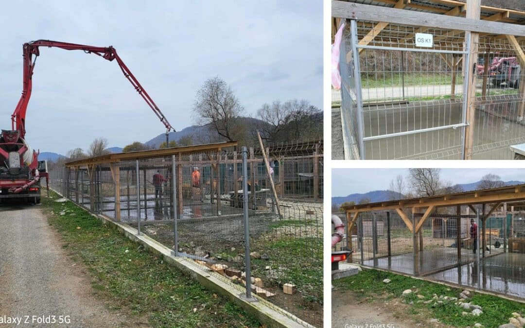 Erste neue Kennels im Open Shelter ⚒️🥳