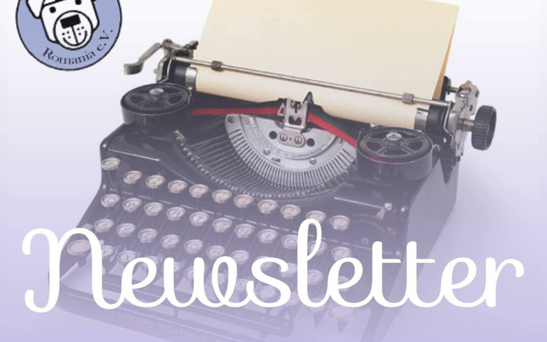 📃📮💌 Newsletter im Anflug 💌📯📃