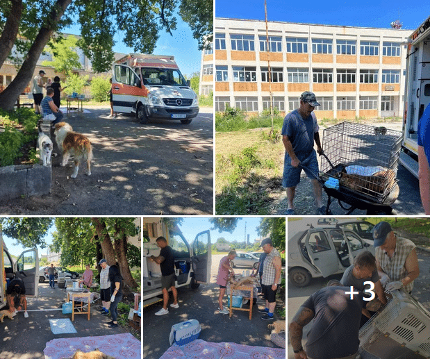 Auch heute war das Kastramobil wieder im Einsatz! 🐾👍🏻☀️ 