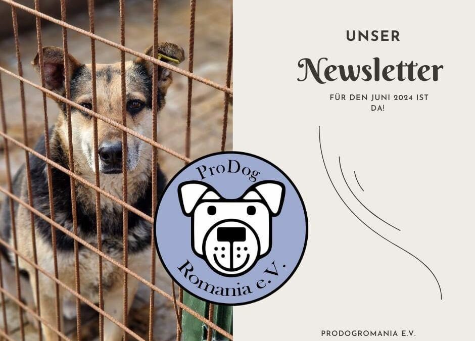 Der Juni-Newsletter ist da! 💌