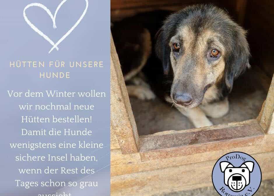 Hütten-Aktion vor dem Wintereinbruch: Jede Hilfe zählt! 🙏