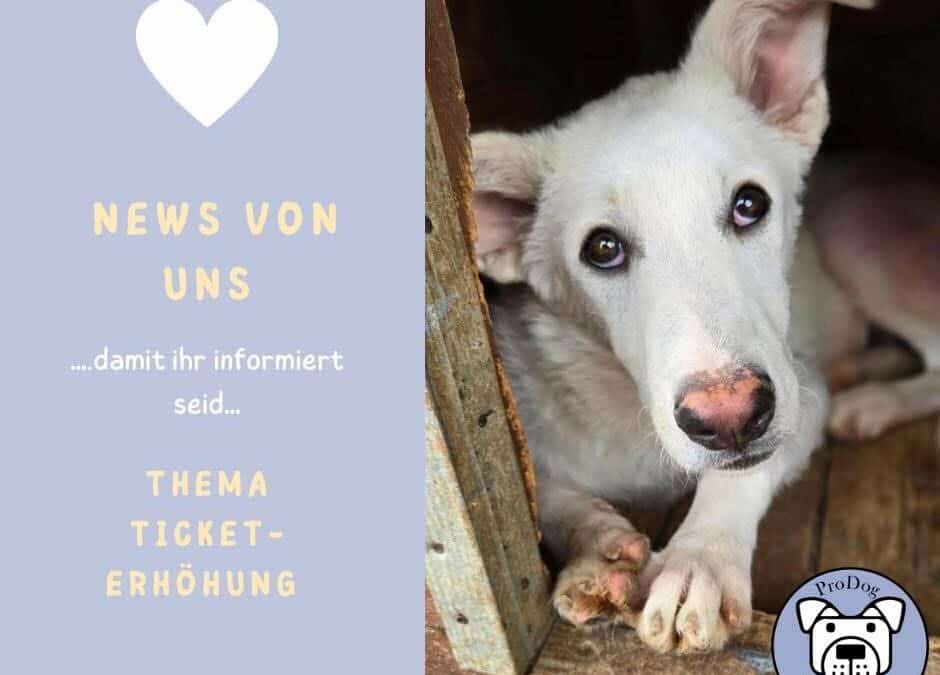 🐾 News Ticketerhöhung 🐾