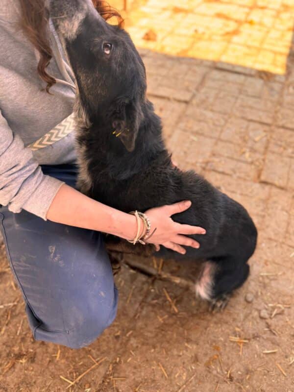 CASSIDY (♀) - Seelischer Notfall – Bild 6