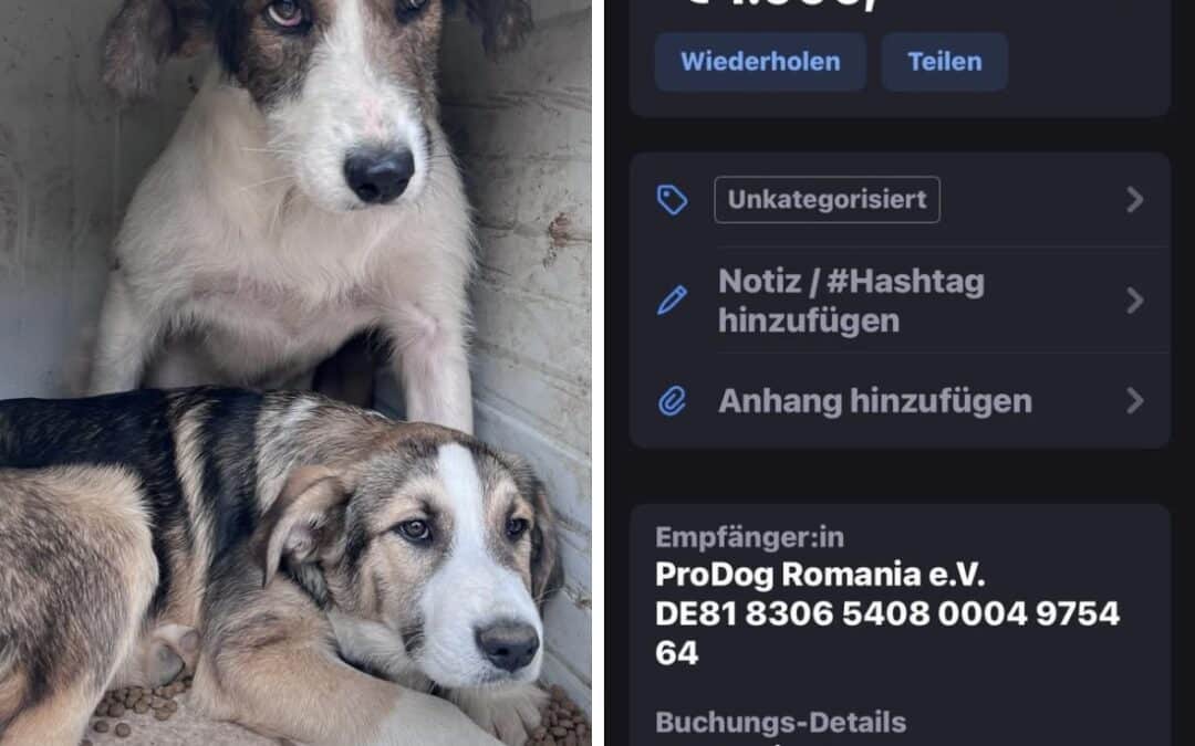 Wir sagen Danke: Tierschutzverein Angsthund spendet 1.000€ für unseren Kastratopf ❤️
