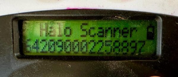 R6PLK85(♂) – Bild 6