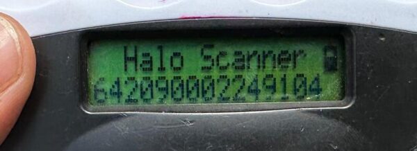 H8PLK456 (♀) – Bild 6