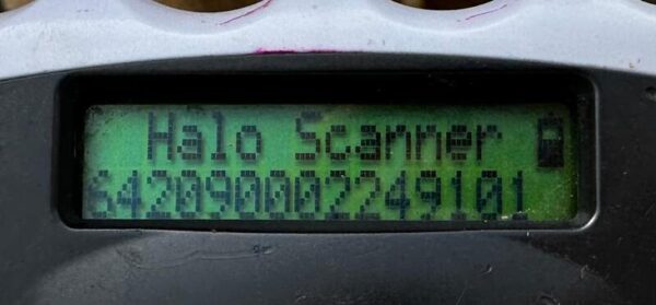 H9PLK456 (♀) – Bild 7
