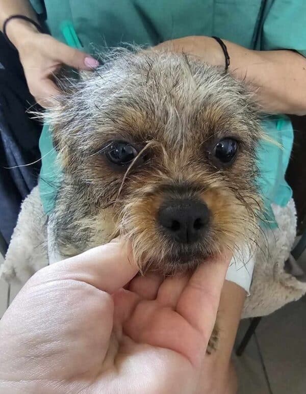 MINNIE (♀) – Bild 4