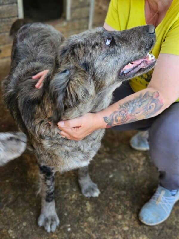 SUSY (♀) – Bild 2