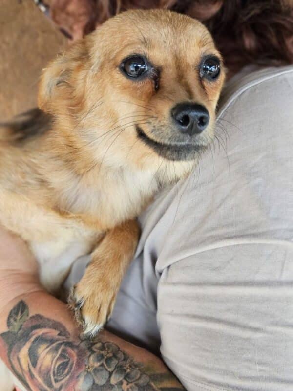 ABBY (♀) – Bild 4