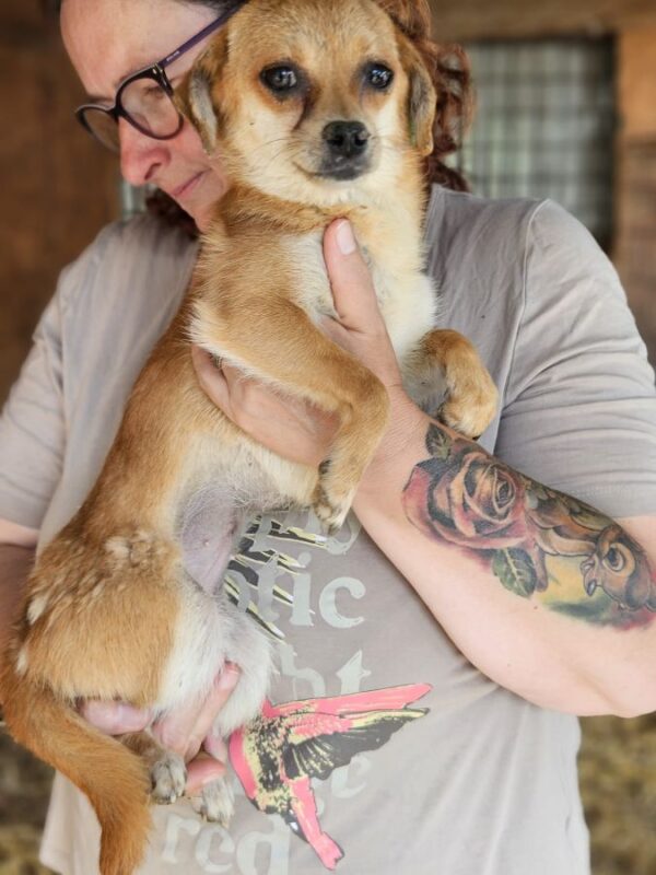 BONNIE (♀) – Bild 2