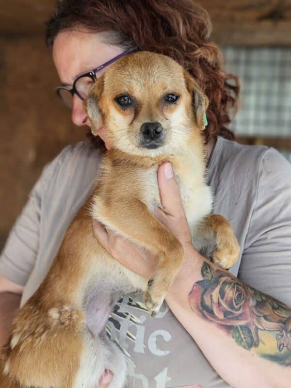 BONNIE (♀) – Bild 6