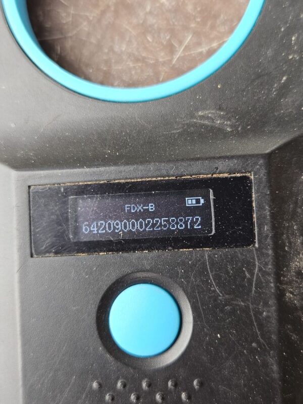 H36PLK488 (♀) – Bild 7