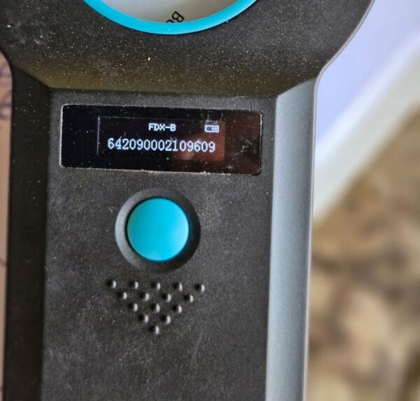 H5SK19 (♀) – Bild 10