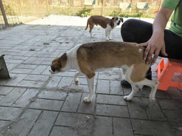 PENNY (♀) – Bild 4