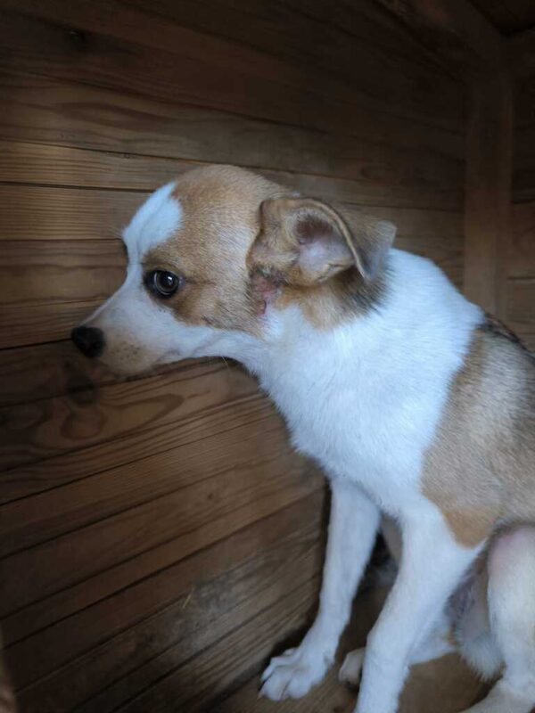 PENNY (♀) – Bild 5