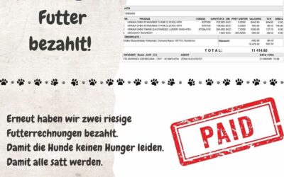 🚨 Dringender Spendenaufruf – Wir brauchen Euch jetzt! 🚨