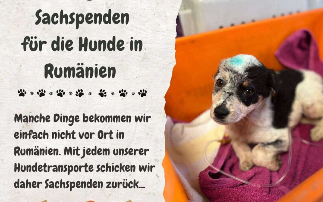 ℹ️ So helft ihr uns mit euren Sachspenden 💚