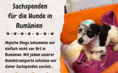 ℹ️ So helft ihr uns mit euren Sachspenden 💚