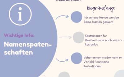Erklärung zu unseren Namenspatenschaften 📯✨