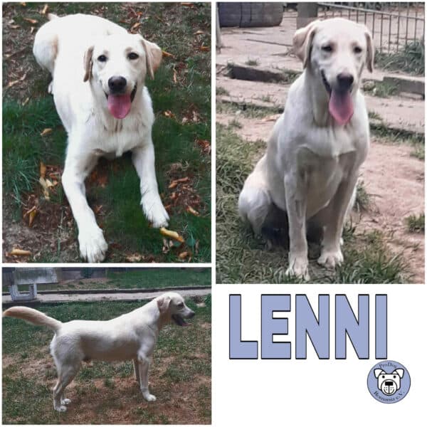 Lenni (♂) in 34473 Diemelstadt