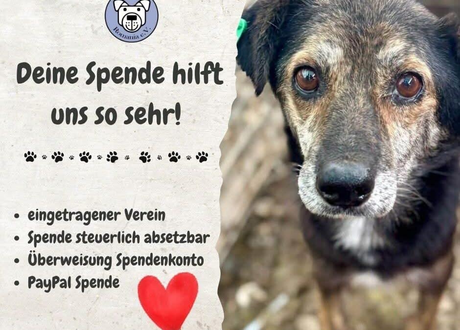 Klasse 6a sammelt 85 Euro für PDR – Wir sagen Danke! ❤️